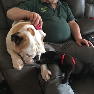 Meet your Posher, Tracy